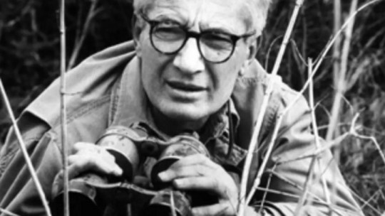 Preguntas de Tinbergen