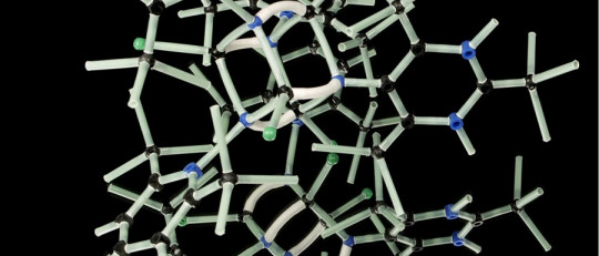 Ramas de las ciencias naturales