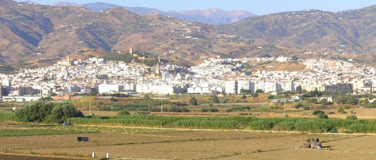 Gabinete de psicología en Vélez-Málaga