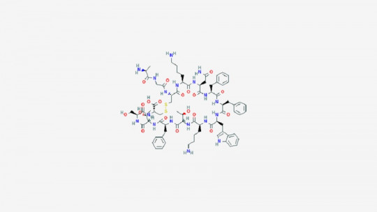 Somatostatina