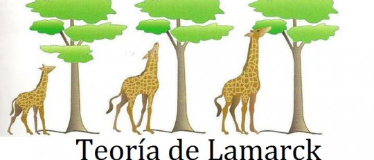 La Teoría de Lamarck y la evolución de las especies
