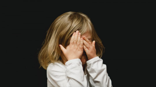 Teorías sobre el autismo