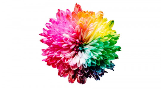 Percepción del color