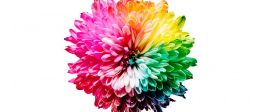 Percepción del color