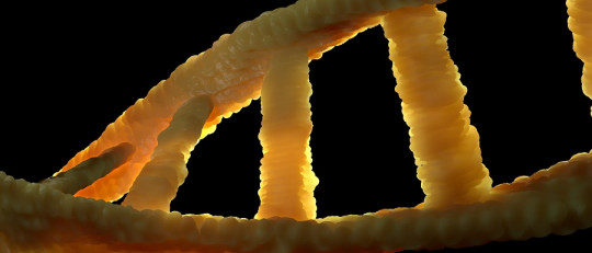 Pleiotropismo