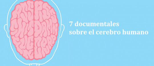 7 documentales que hablan sobre el cerebro humano