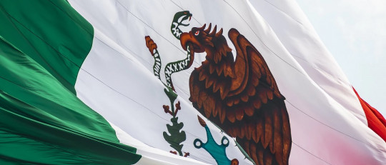 Problemas sociales en México