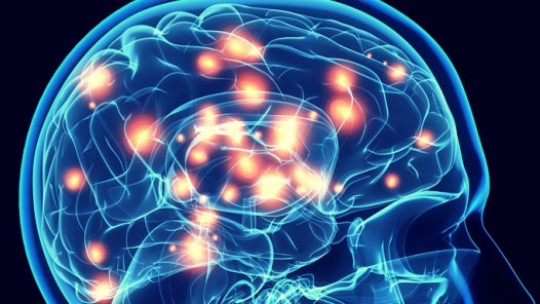 Fases de la intervención neuropsicológica