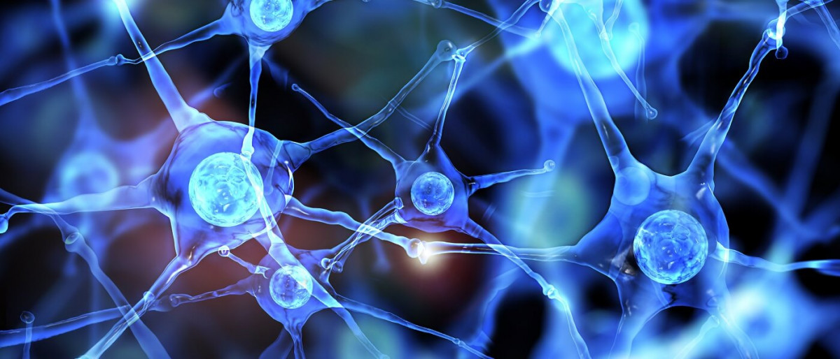 Neuronas