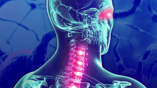 Deterioro cognitivo por Esclerosis Múltiple
