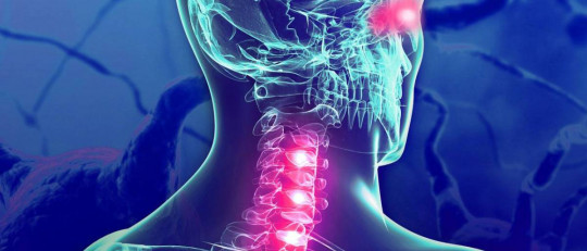Deterioro cognitivo por Esclerosis Múltiple