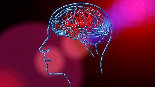 Qué problemas trata la neuropsicología