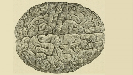 Aloquiria