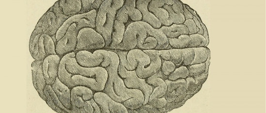 Aloquiria