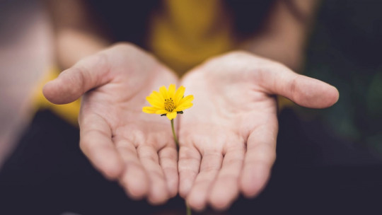 Mejores cursos de Mindfulness en Pamplona