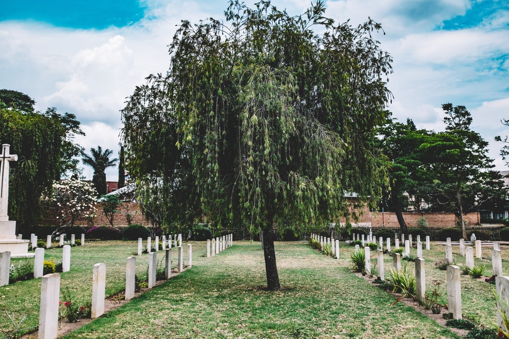 Cementerio