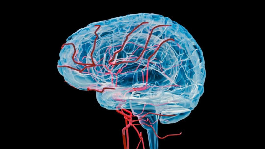 Irrigación de sangre en el cerebro