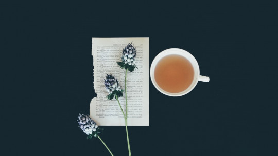 Tipos de infusiones