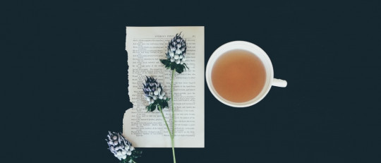 Tipos de infusiones