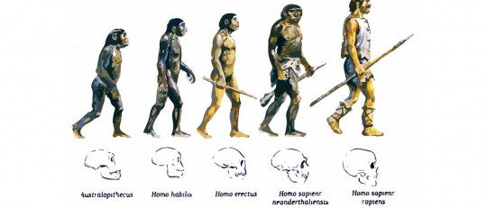 La teoría de la evolución biológica: qué es y qué explica