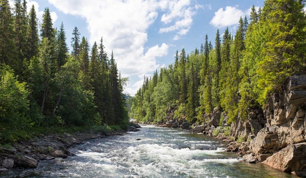 Río