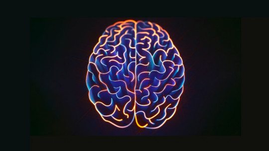 Apraxia ideacional