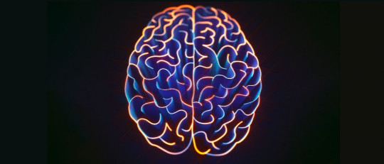 Apraxia ideacional