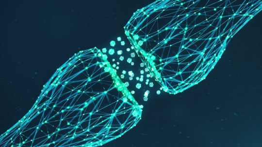 Neuronas Von Economo