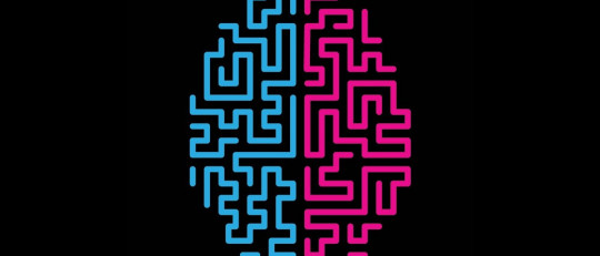 Neuronas se regeneran