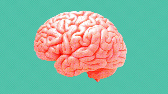 Diferencias entre la Psicología y la Neuropsicología