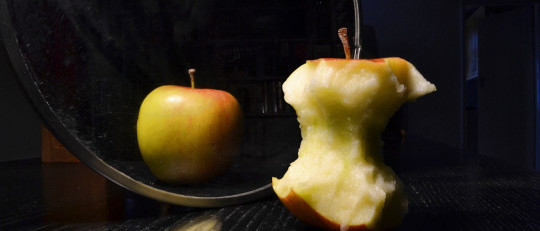 Principales trastornos alimenticios: anorexia y bulimia