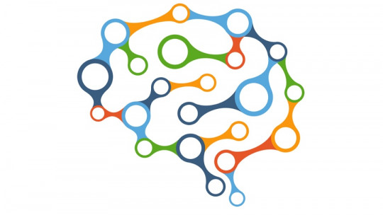Cómo procesa la información el cerebro