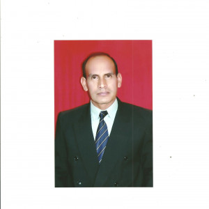 Dilmer Raul Diaz Coronel