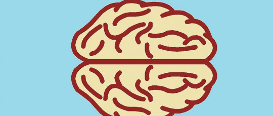 Neurociencias: la nueva forma de entender a la mente humana