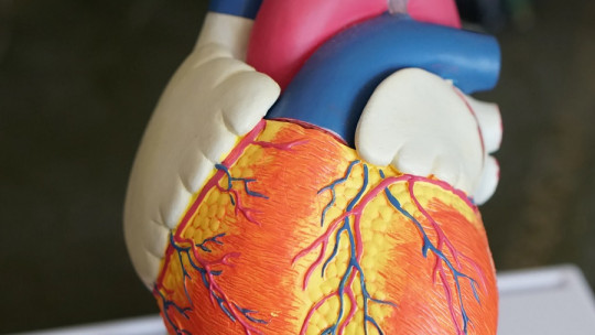Cómo afecta el estrés al corazón