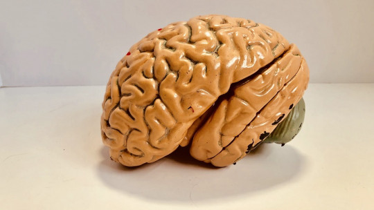 Terapia metacognitiva