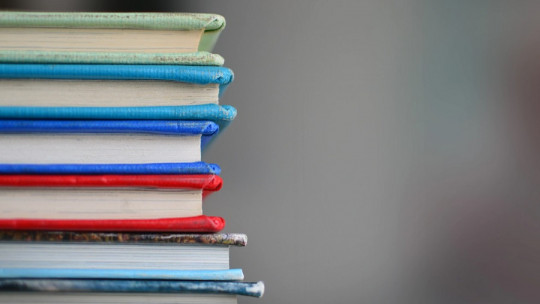 Ramas de la pedagogía