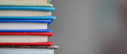 Ramas de la pedagogía