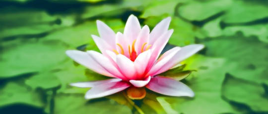 Los 8 tipos de Meditación (y sus características)