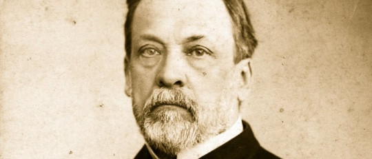 Las 30 mejores frases de Louis Pasteur