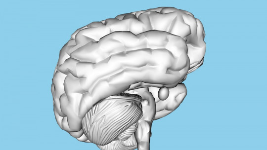 Teorías biológicas de la ansiedad