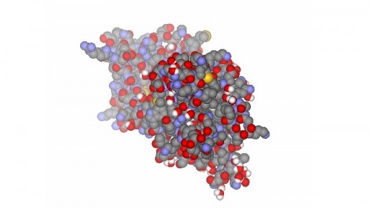 Factor neurotrófico derivado del cerebro