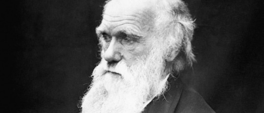 Frases Charles Darwin