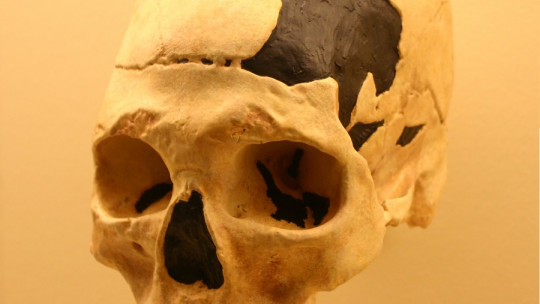 Origen del Homo sapiens