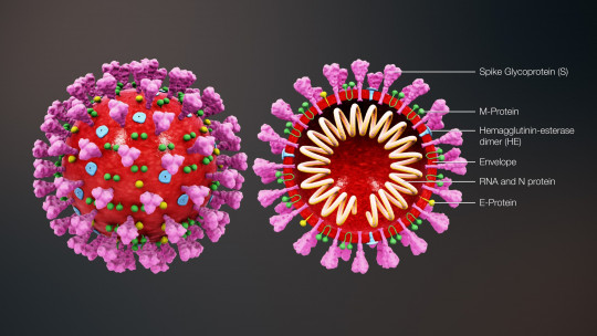 Coronavirus gobiernos