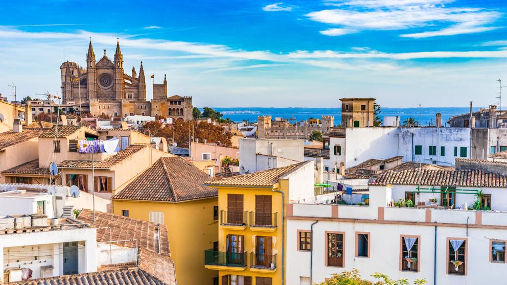 Psicólogos infantiles en Palma de Mallorca
