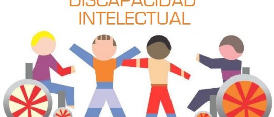 La discapacidad intelectual y del desarrollo