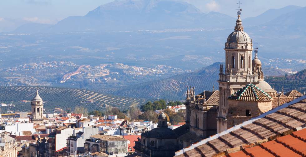 Psicólogos ansiedad en Jaén