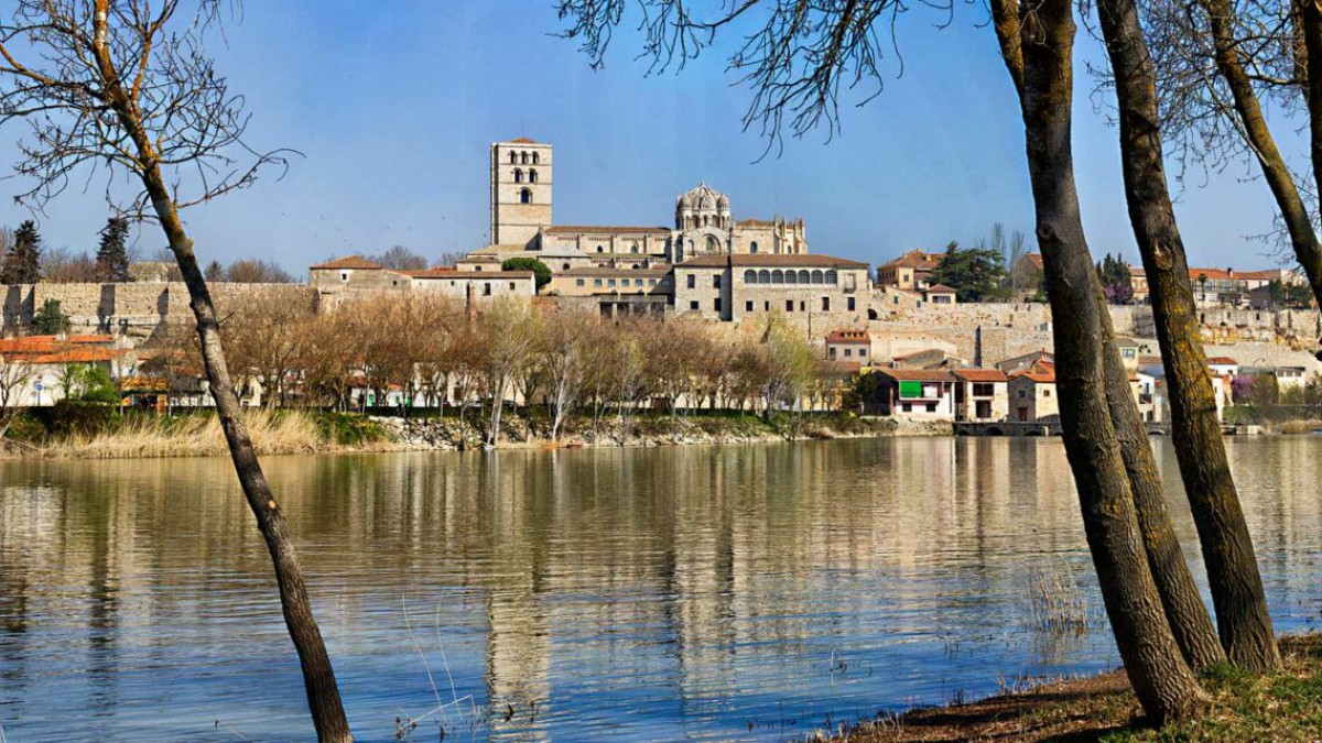 Psicólogos en Zamora