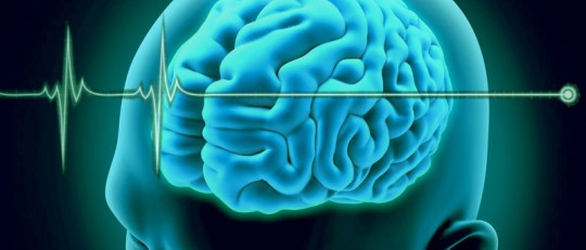 ¿Qué es la muerte cerebral? ¿Es irreversible?
